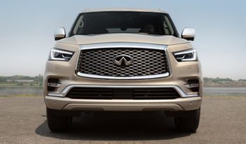 Infiniti QX80 full