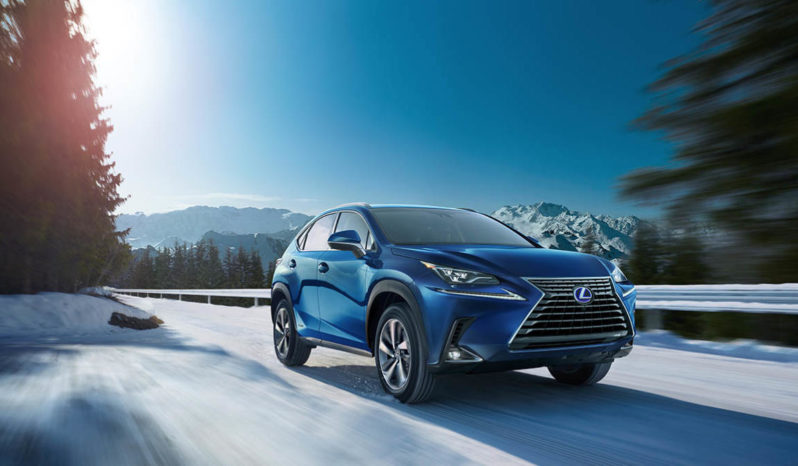 LEXUS NX 2.5 Hybrid 155 cv Privilege Line occasion à 34290 euros au garage  TOYOTA Foetz